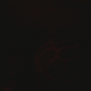 Elmo in the dark