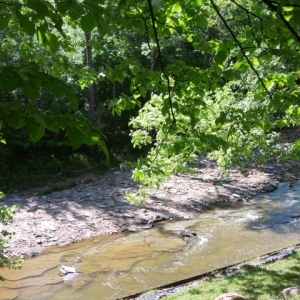 River on a sunny day