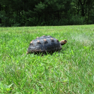 Outside on a warm day