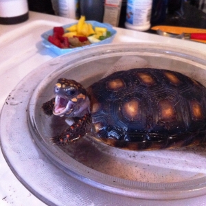 He loves morning baths!