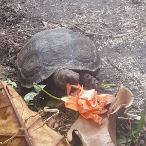 Feeding time