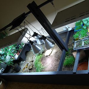 indoor enclosure