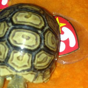 Ty beanie.tortoise